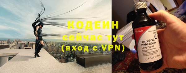 apvp Галич