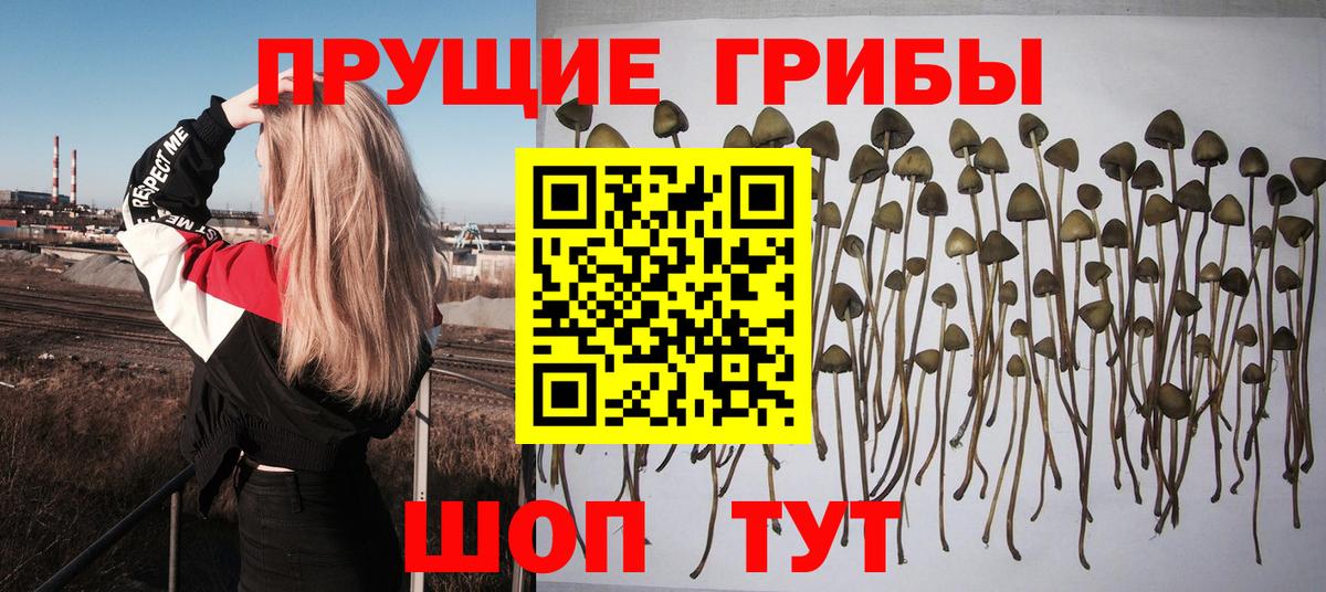 Галлюциногенные грибы MAGIC MUSHROOMS  сколько стоит  Галлюциногенные грибы MAGIC MUSHROOMS  Кирово-Чепецк  Вход с VPN 